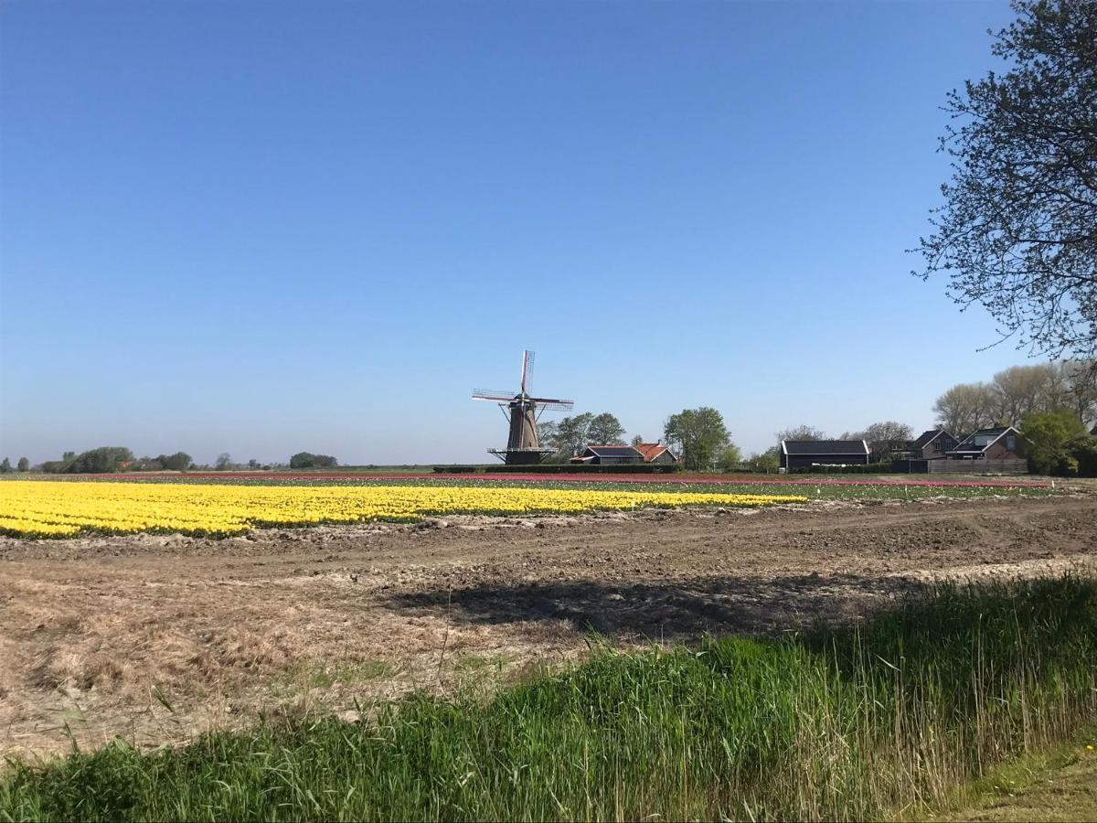 In De Gele