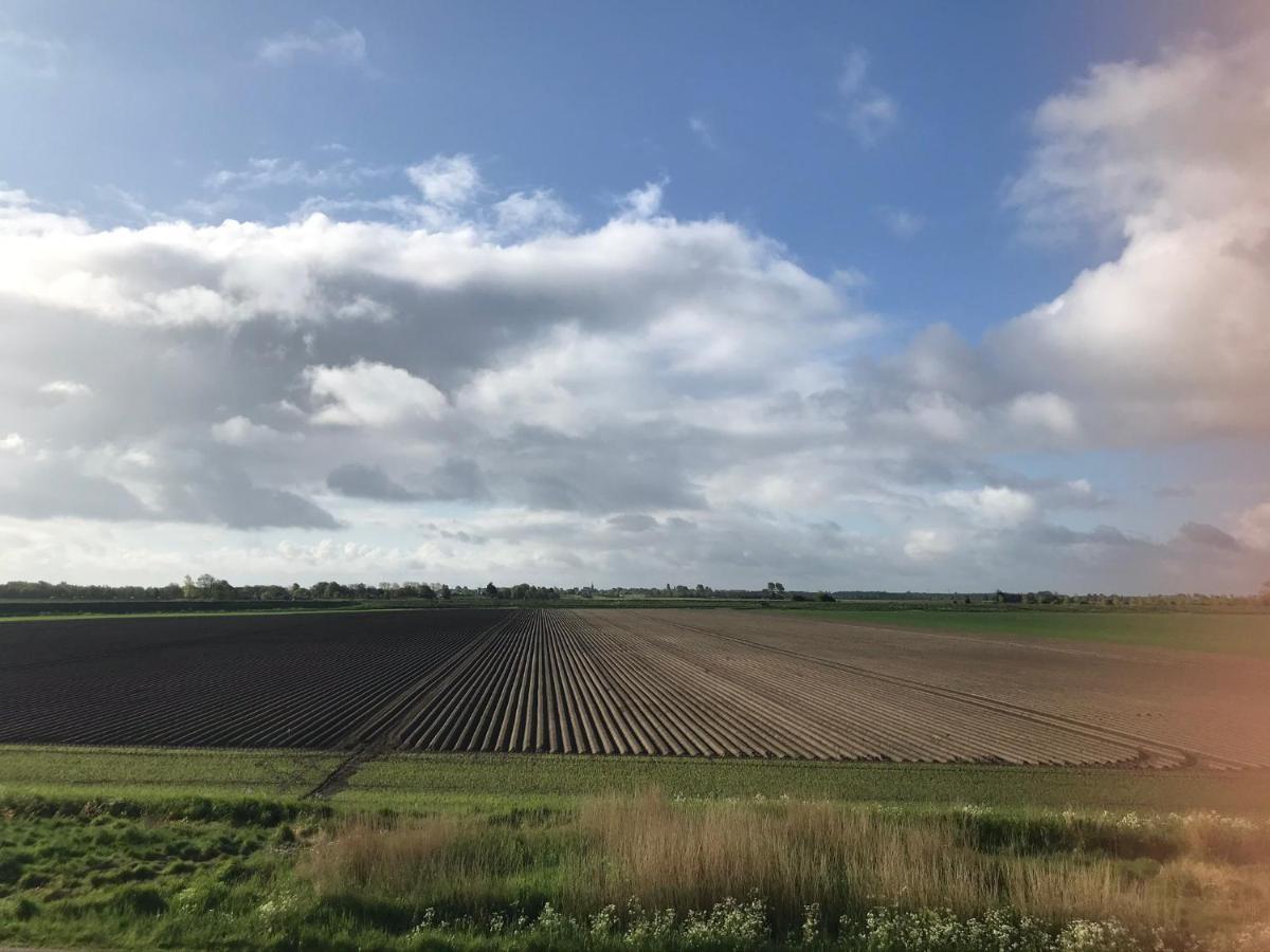 In De Gele Zonnemaire
